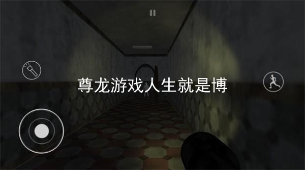 尊龙游戏人生就是博