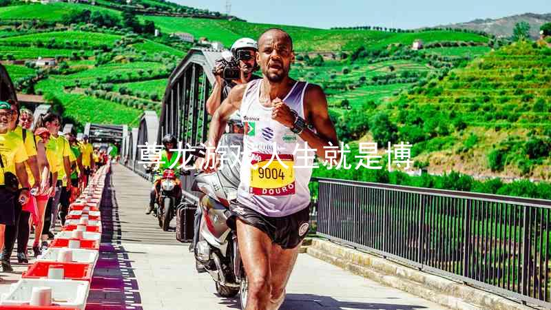 尊龙游戏人生就是博