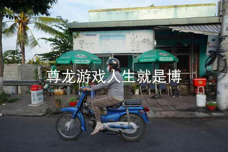 尊龙游戏人生就是博