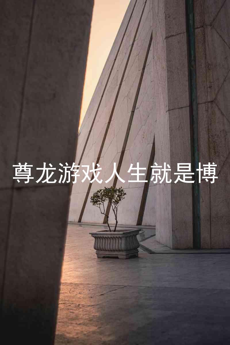 尊龙游戏人生就是博