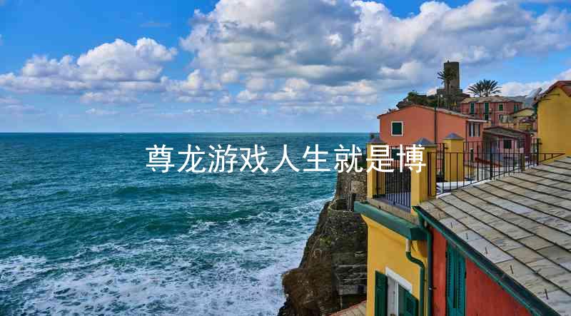 尊龙游戏人生就是博